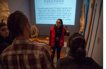 visita guiada en la exposición temporal pura fibra