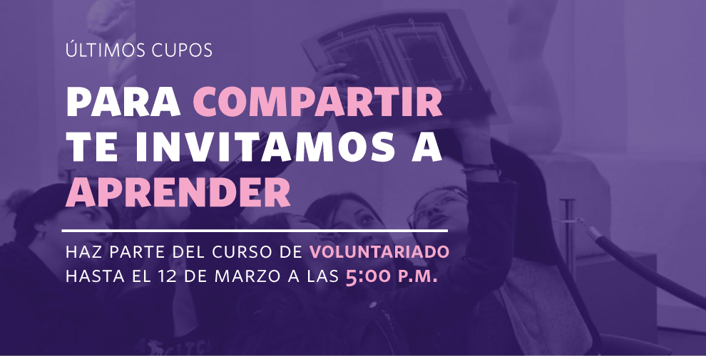 Curso de formación y voluntariado