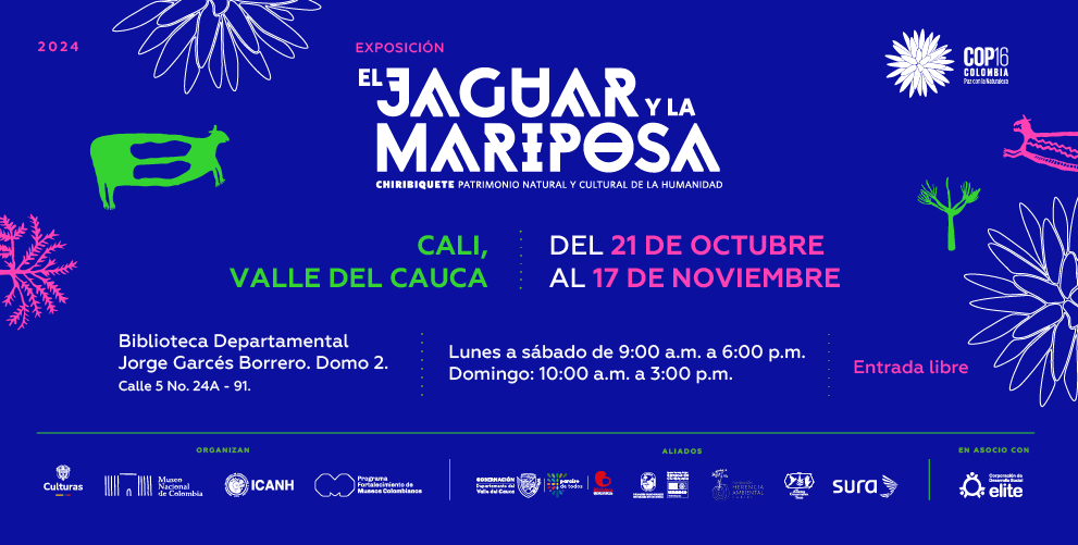 En el marco de la COP 16, llega a Cali la exposición El jaguar y la mariposa: Chiribiquete, patrimonio natural y cultural de la humanidad 