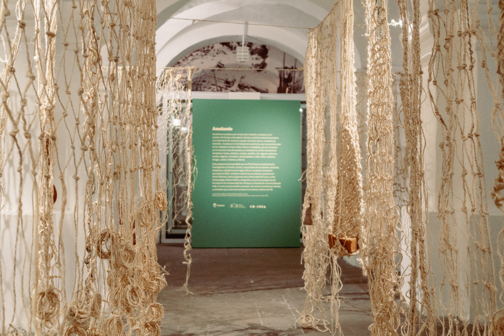 La residencia artística Cuerpo-Semilla: imágenes y narrativas desde la ruralidad en el Cauca abrió en el Museo Nacional de Colombia 