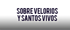 lee sobre velorios y santos vivos