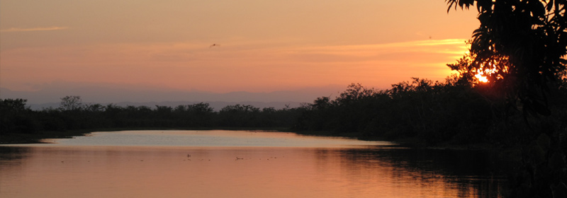 Los Katíos