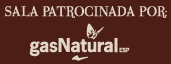 Gas Natural