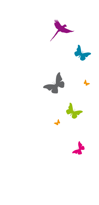 Imagen lateral con mariposas